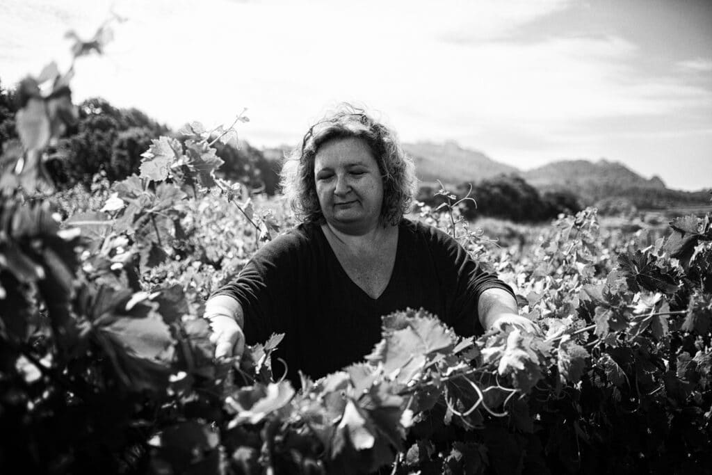 photographe à avignon, reportage photo pour les domaines viticoles